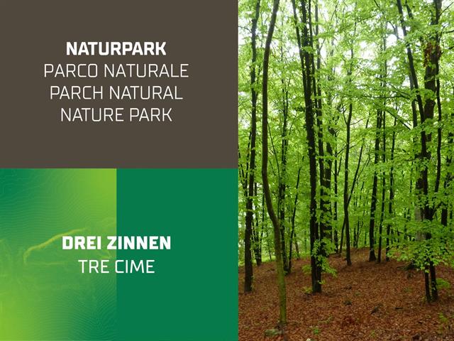 Foto für Naturparks Südtirol - Die Wälder | Sonderausstellung